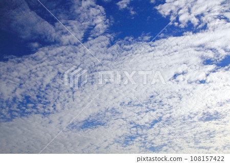 秋天的天空中漂浮著鱗片雲 秋天的天空中漂浮著鱗片雲 108157422