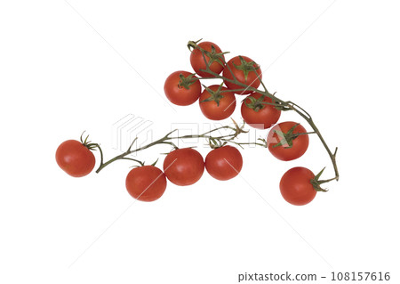 bunch of tomatoes 108157616