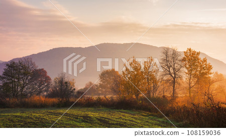 rural landscape of ukrainian carpathians. mountainous countryside scenery in autumn. trees in fall foliage by the field. misty weather 108159036