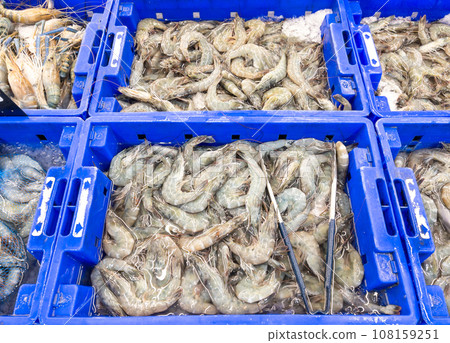 Closeup of the variety of fresh shrimp with the crushed ice in the plastic tray. Closeup of the variety of fresh shrimp with the crushed ice in the plastic tray. 108159251