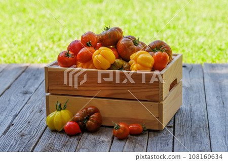 Assorted tomatoes in rustic crate Assorted tomatoes in rustic crate 108160634