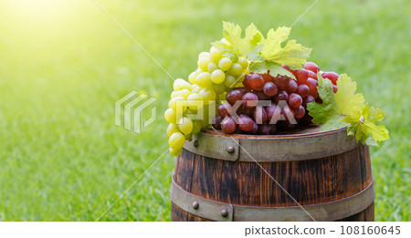 Grape on wine barrel Grape on wine barrel 108160645