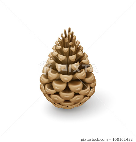 Fir Cone 108161452