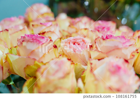 close-up. Bouquet of peony roses. close-up. Bouquet of peony roses. 108161755