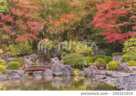 [Kyushu/Fukuoka] A view of a pond reflecting the autumn leaves crossed over a wooden bridge at the Fukuoka Prefectural Ohori Park Japanese Garden. 108161859