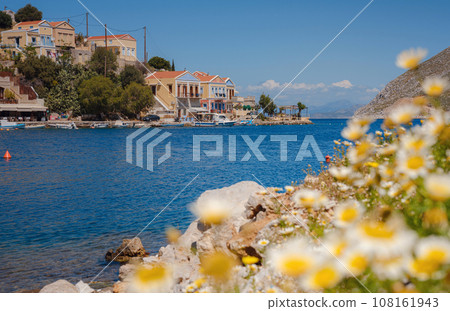 Symi Island, Greece. Greece islands holidays from Rhodos in Aegean Sea. Colorful neoclassical houses in bay of Symi. Holiday travel background. view from spring flowers like daisies 108161943