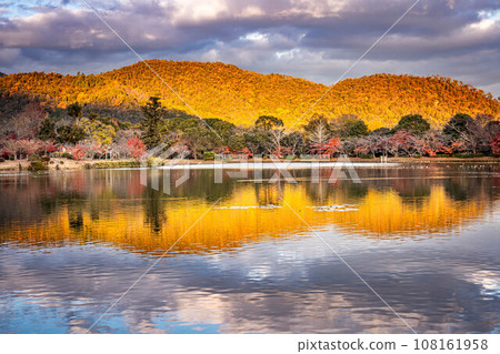 In autumn at Daikakuji Monzeki, the water mirror of Osawa Pond reflects the mountains of Sagano, where the autumn leaves shine golden in the setting sun. 108161958