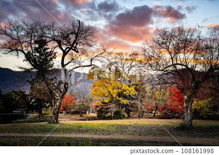 Autumn at Daikakuji Monzeki, Osawa Pond with autumn leaves in full bloom, and autumn dusk at Nagoso Square 108161998
