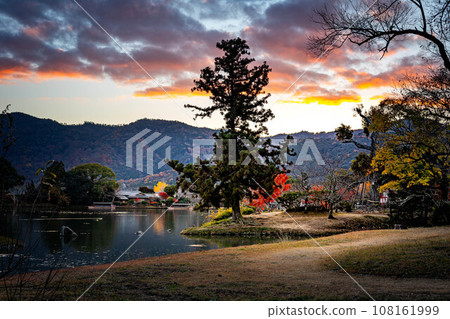 Autumn at Daikakuji Monzeki, Osawa Pond with autumn leaves in full bloom with Arashiyama in the background, and autumn dusk at Nagoso Square. 108161999