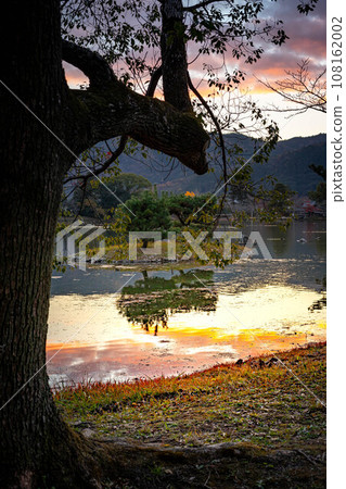 Autumn at Daikakuji Monzeki, with Arashiyama in the background, Osawa Pond with its autumn leaves at its peak, Kikugashima and the evening light enveloping the stones of the garden lake. 108162002