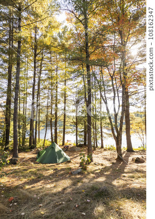 Campsite with tents and sunlight shining through the autumn leaves forest 108162347