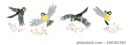 Titmouse Bird with Blooming Tree Branch Vector Set Titmouse Bird with Blooming Tree Branch Vector Set 108162365