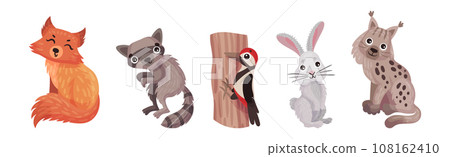 Forest Animals with Fox, Raccoon, Woodpecker, Bunny and Lynx Vector Set 108162410