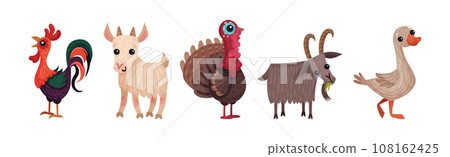 Farm Animals with Cockerel, Goat, Goose and Turkey Vector Set Farm Animals with Cockerel, Goat, Goose and Turkey Vector Set 108162425