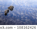 Stones by the water and clouds reflected on the water surface 108162426