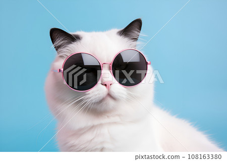 Adorable white cat wearing pink sunglasses on blue background 108163380
