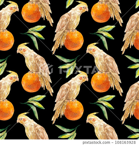 Seamless pattern of fruits of oranges and Corella parrots. Watercolor illustration isolated on background. Juice labels, packaging, covers, textiles. 108163928