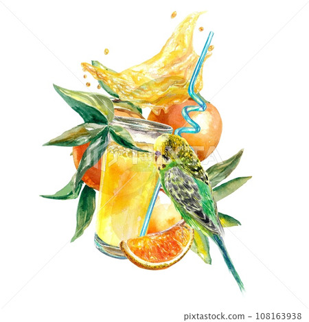 A glass of orange juice, orange slices, splashes, a budgie. Watercolor illustration isolated on white background. Food packaging, juice labels. 108163938