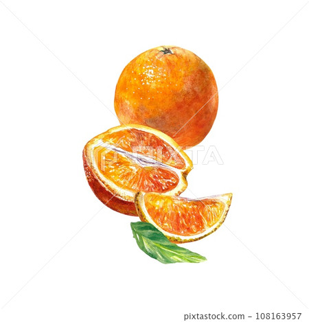 Orange fruit, whole and slices. Watercolor illustration of citrus fruit isolated on white background. Cafe menu, juice labels, food packaging, covers. Orange fruit, whole and slices. Watercolor illustration of citrus fruit isolated on white background. Cafe menu, juice labels, food packaging, covers. 108163957