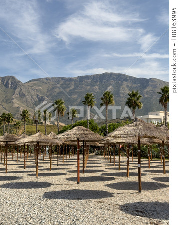 straw beach umbrellas in rows on the beach 108163995
