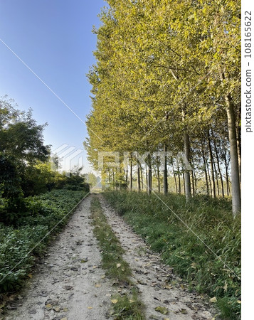 Autumn mountain path Autumn mountain path 108165622