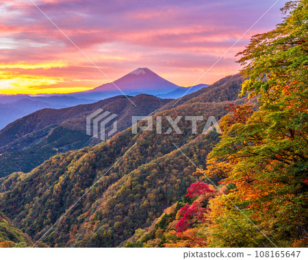 從櫛方山眺望錦州連峰和沐浴在朝霞中的富士山 從櫛方山眺望錦州連峰和沐浴在朝霞中的富士山 108165647
