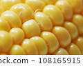 玉米 108165915