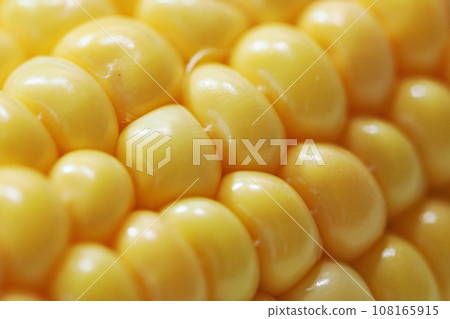 玉米 108165915