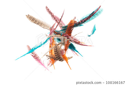 Many color Feather fly fall beautiful spiral pattern in air over black background isolated. Puffy Fluffy soft feathers like dream floating dove in sky. Colorful feathers are so light and delicate Many color Feather fly fall beautiful spiral pattern in air over black background isolated. Puffy Fluffy soft feathers like dream floating dove in sky. Colorful feathers are so light and delicate 108166167
