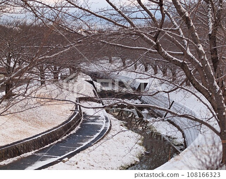 Scenery of the Minase River with snowfall 108166323