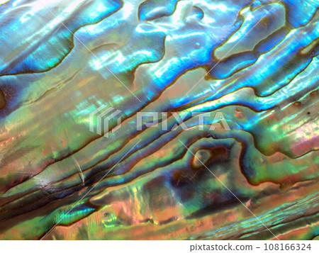 Close-up of the mother-of-pearl layer of an abalone shell 108166324