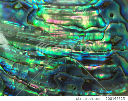Close-up of the mother-of-pearl layer of an abalone shell 108166325