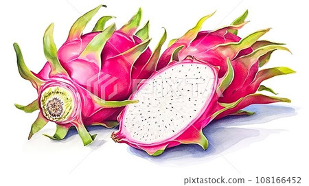 火龍果水彩插圖“AI生成圖像” 108166452