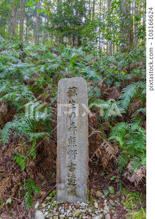 水富王子附近的熊野古道、復活林石碑（和歌山縣田邊市本宮町） 108166624