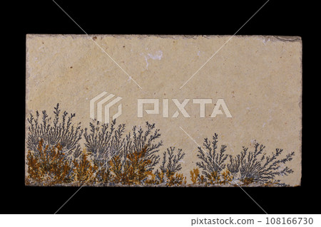 Dendritic Limestone A stone that harbors landscapes Dendritic Limestone A stone that harbors landscapes 108166730