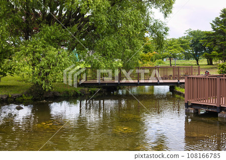 Pond surrounded by green 108166785