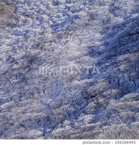 Kokonoe Rime Winter Mountain 108166943