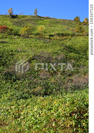 Autumn leaves season Scenery from the Shiga Kusatsu Highlands route 108167520