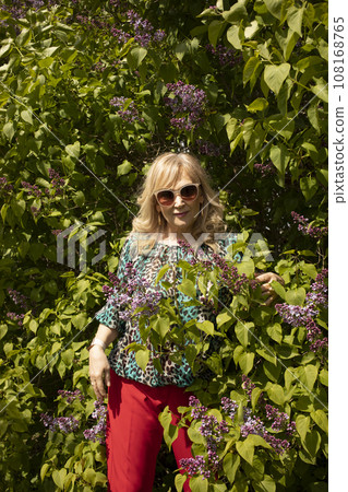 Portrait Beautiful Blonde Mature Sexagenarian Woman Standing in lilac Bush. Stylish Modern Senior Female in her 60s Enjoys Gardening. Retirement. Vertical Plane Portrait Beautiful Blonde Mature Sexagenarian Woman Standing in lilac Bush. Stylish Modern Senior Female in her 60s Enjoys Gardening. Retirement. Vertical Plane 108168765