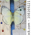 Wings of a butterfly in Okinawa 108169221