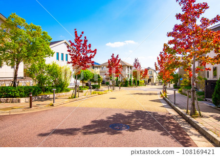 A town without telephone poles and street trees with autumn leaves A town without telephone poles and street trees with autumn leaves 108169421
