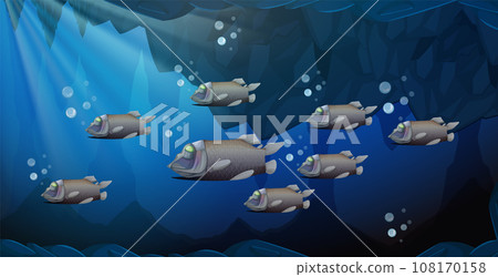 Barreleye Fish Swim Together in the Deep Sea Barreleye Fish Swim Together in the Deep Sea 108170158