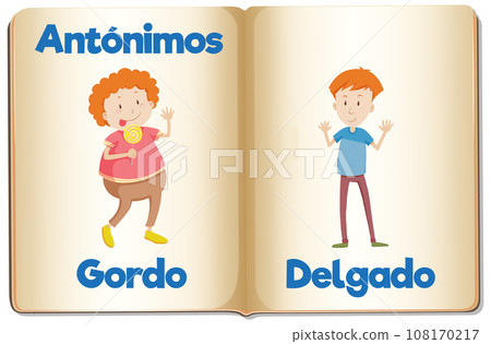 Education Antonyms: Gordo and Delgado in Spanish Language fat and thin Education Antonyms: Gordo and Delgado in Spanish Language fat and thin 108170217