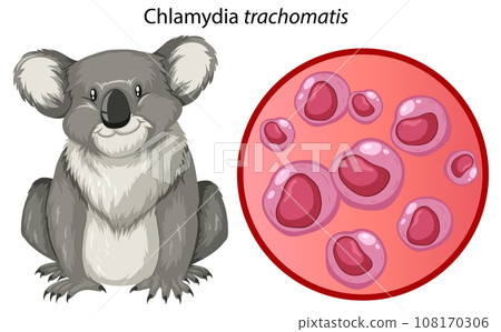 Chlamydia trachomatis with explanation Chlamydia trachomatis with explanation 108170306