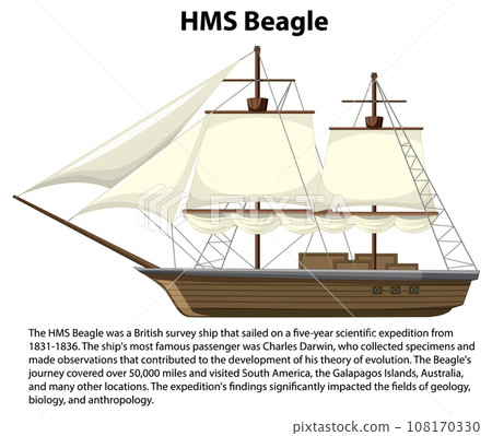 HMS Beagle ship informative poster HMS Beagle ship informative poster 108170330