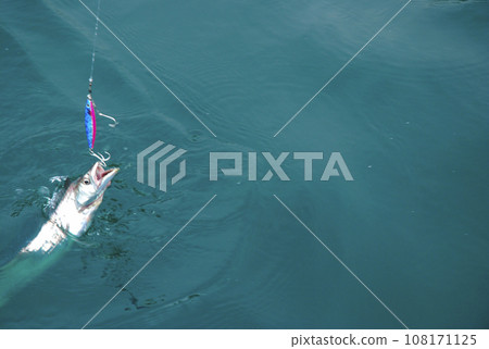 fish caught on lure 108171125