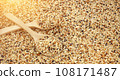 Mixed seed for feed bird as nature food background - Top view of white , brown and black grains on wooden spoon. 108171487