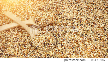 Mixed seed for feed bird as nature food background - Top view of white , brown and black grains on wooden spoon. Mixed seed for feed bird as nature food background - Top view of white , brown and black grains on wooden spoon. 108171487