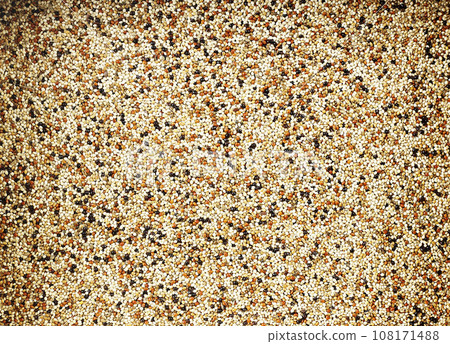 Mixed seed for feed bird as nature food background - Top view of white , brown and black grains. 108171488
