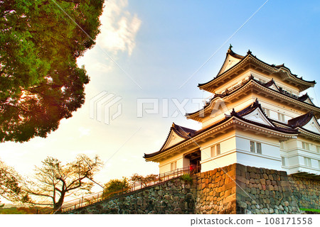 小田原城天守閣的夜景與美麗的夕陽 108171558